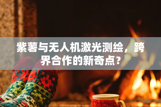 紫薯与无人机激光测绘，跨界合作的新奇点？