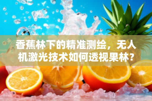 香蕉林下的精准测绘，无人机激光技术如何透视果林？