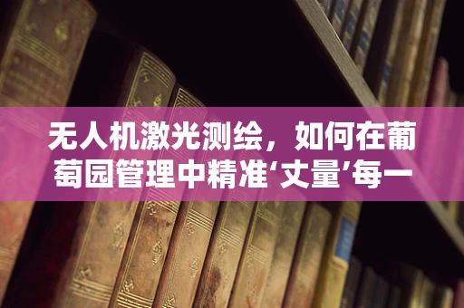 无人机激光测绘，如何在葡萄园管理中精准‘丈量’每一串果实？