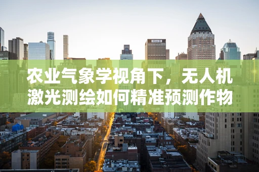 农业气象学视角下，无人机激光测绘如何精准预测作物生长环境？