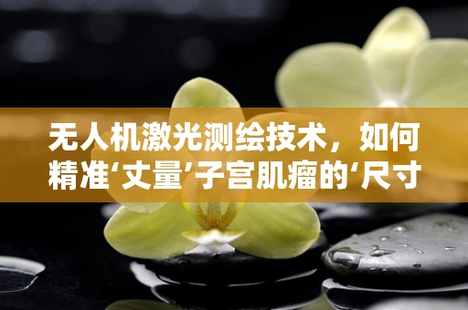无人机激光测绘技术，如何精准‘丈量’子宫肌瘤的‘尺寸’？