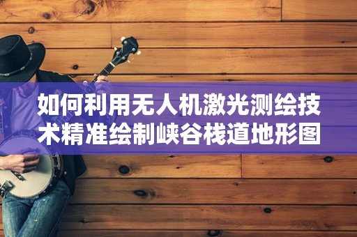如何利用无人机激光测绘技术精准绘制峡谷栈道地形图？