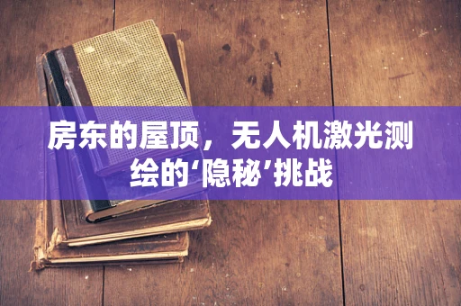 房东的屋顶，无人机激光测绘的‘隐秘’挑战