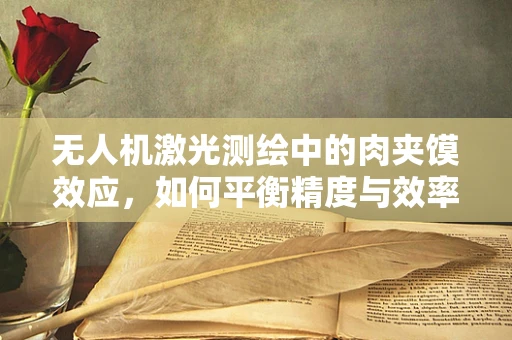 无人机激光测绘中的肉夹馍效应，如何平衡精度与效率？