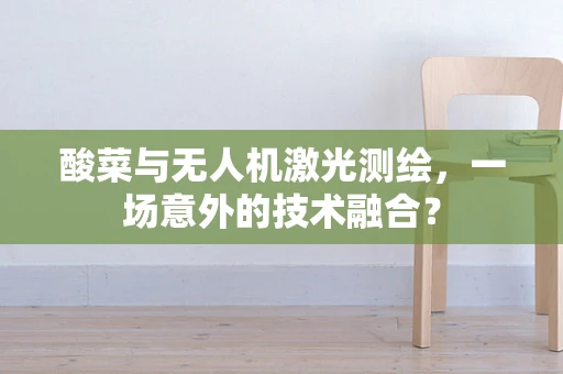 酸菜与无人机激光测绘，一场意外的技术融合？