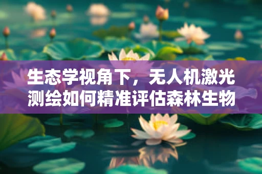 生态学视角下，无人机激光测绘如何精准评估森林生物多样性？