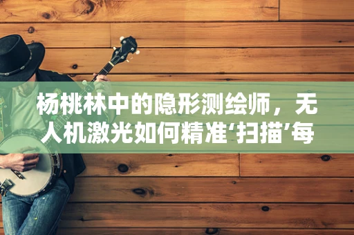 杨桃林中的隐形测绘师，无人机激光如何精准‘扫描’每一颗果实？