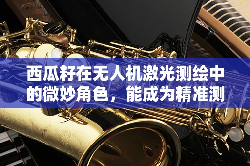 西瓜籽在无人机激光测绘中的微妙角色，能成为精准测量的新钥匙吗？
