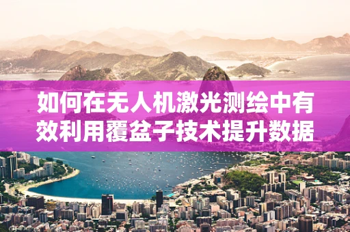 如何在无人机激光测绘中有效利用覆盆子技术提升数据精度？