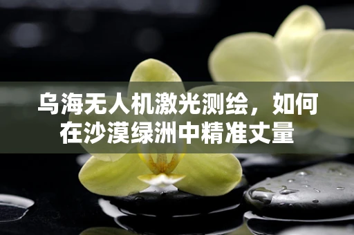 乌海无人机激光测绘，如何在沙漠绿洲中精准丈量