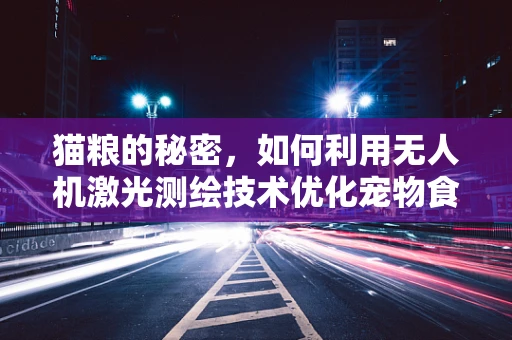 猫粮的秘密，如何利用无人机激光测绘技术优化宠物食品存储？