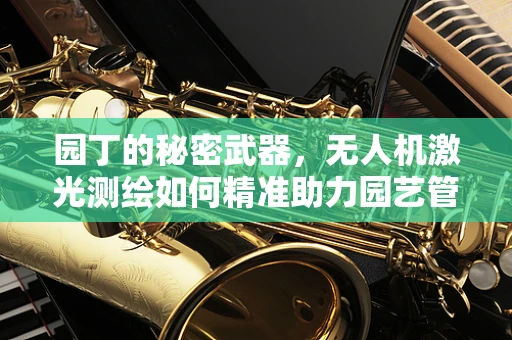 园丁的秘密武器，无人机激光测绘如何精准助力园艺管理？