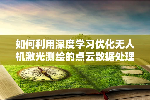 如何利用深度学习优化无人机激光测绘的点云数据处理？