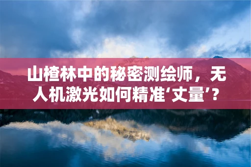 山楂林中的秘密测绘师，无人机激光如何精准‘丈量’？