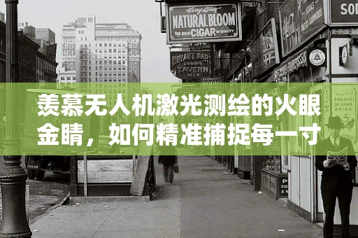 羡慕无人机激光测绘的火眼金睛，如何精准捕捉每一寸土地的秘密？