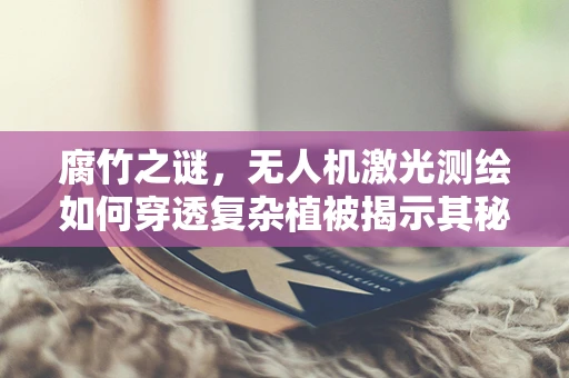 腐竹之谜，无人机激光测绘如何穿透复杂植被揭示其秘密？