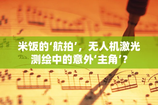 米饭的‘航拍’，无人机激光测绘中的意外‘主角’？