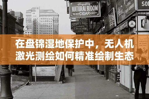 在盘锦湿地保护中，无人机激光测绘如何精准绘制生态地图？
