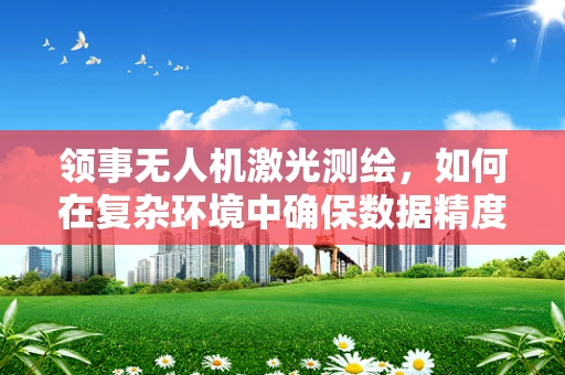 领事无人机激光测绘，如何在复杂环境中确保数据精度？