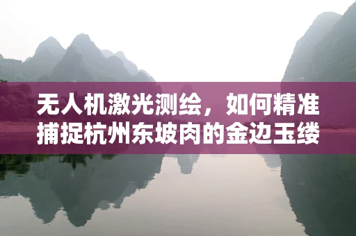 无人机激光测绘，如何精准捕捉杭州东坡肉的金边玉缕？
