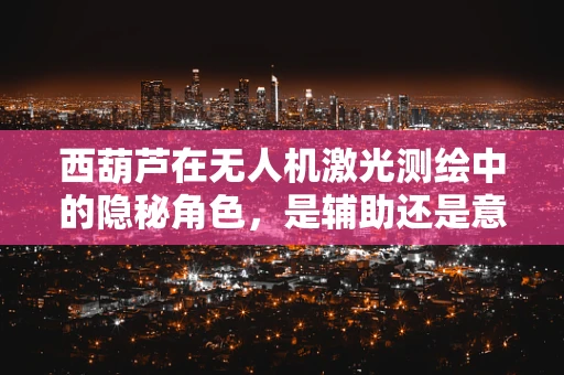 西葫芦在无人机激光测绘中的隐秘角色，是辅助还是意外之选？