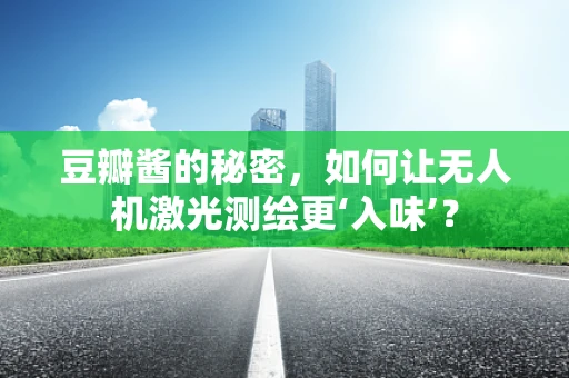 豆瓣酱的秘密，如何让无人机激光测绘更‘入味’？