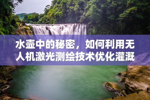水壶中的秘密，如何利用无人机激光测绘技术优化灌溉效率？