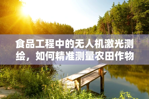 食品工程中的无人机激光测绘，如何精准测量农田作物？