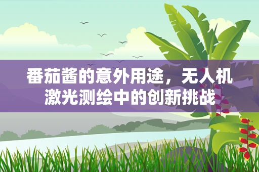 番茄酱的意外用途，无人机激光测绘中的创新挑战