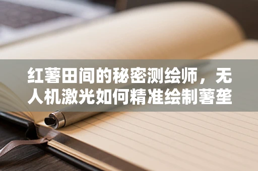 红薯田间的秘密测绘师，无人机激光如何精准绘制薯垄地形？