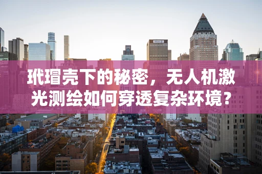 玳瑁壳下的秘密，无人机激光测绘如何穿透复杂环境？