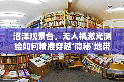 沼泽观景台，无人机激光测绘如何精准穿越‘隐秘’地带？