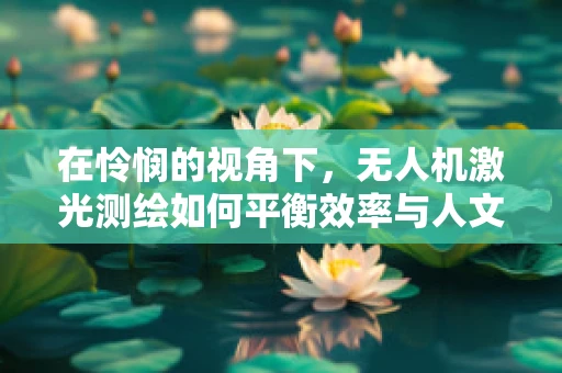 在怜悯的视角下，无人机激光测绘如何平衡效率与人文关怀？
