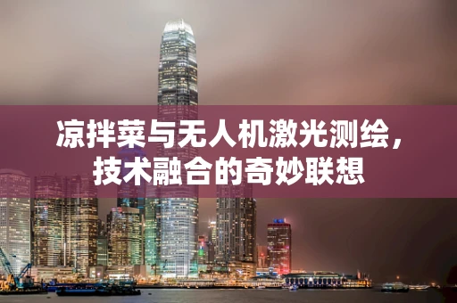 凉拌菜与无人机激光测绘，技术融合的奇妙联想