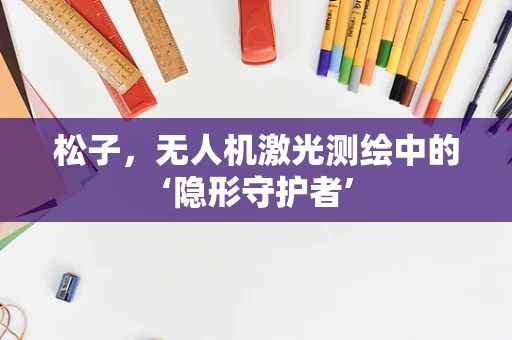 松子，无人机激光测绘中的‘隐形守护者’