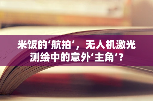 米饭的‘航拍’，无人机激光测绘中的意外‘主角’？