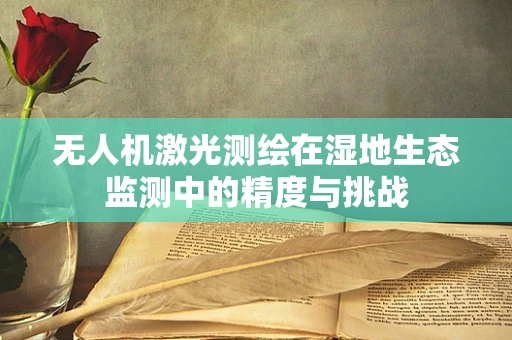 无人机激光测绘在湿地生态监测中的精度与挑战