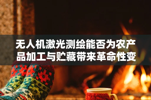 无人机激光测绘能否为农产品加工与贮藏带来革命性变革？
