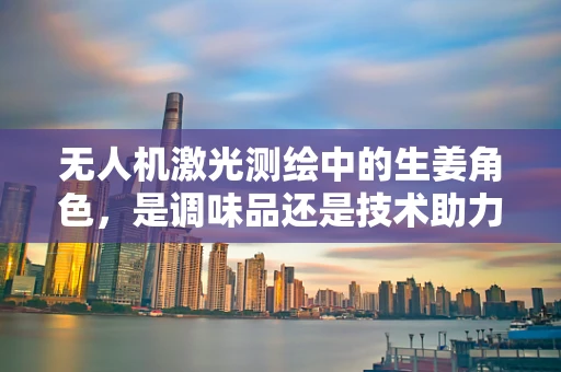 无人机激光测绘中的生姜角色，是调味品还是技术助力者？