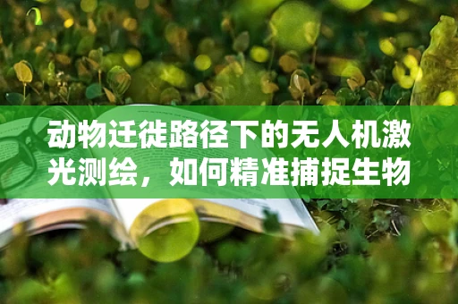 动物迁徙路径下的无人机激光测绘，如何精准捕捉生物活动轨迹？