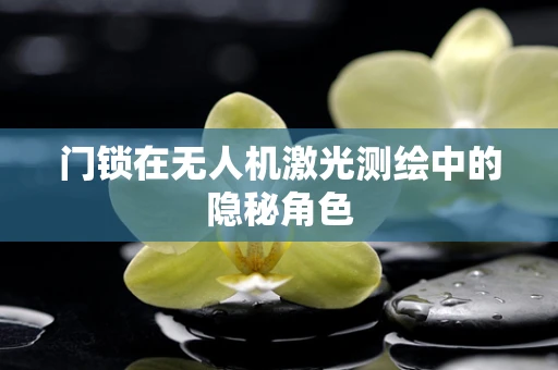门锁在无人机激光测绘中的隐秘角色