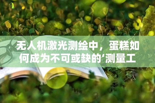 无人机激光测绘中，蛋糕如何成为不可或缺的‘测量工具’？