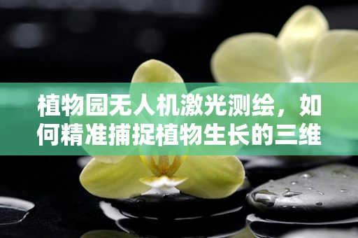 植物园无人机激光测绘，如何精准捕捉植物生长的三维密码？