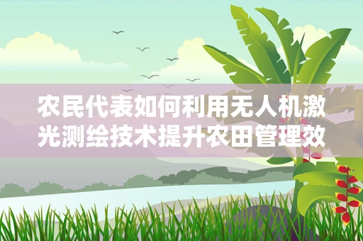 农民代表如何利用无人机激光测绘技术提升农田管理效率？