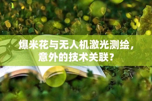 爆米花与无人机激光测绘，意外的技术关联？