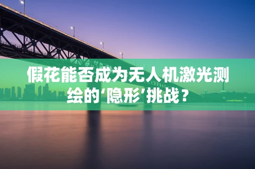 假花能否成为无人机激光测绘的‘隐形’挑战？