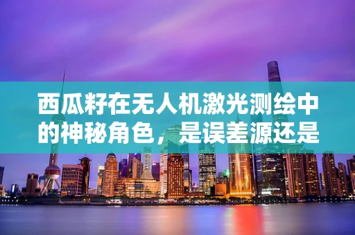 西瓜籽在无人机激光测绘中的神秘角色，是误差源还是创新点？