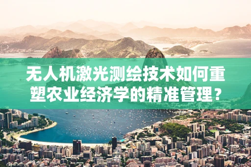 无人机激光测绘技术如何重塑农业经济学的精准管理？