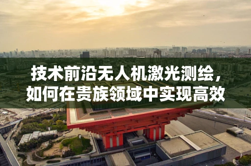 技术前沿无人机激光测绘，如何在贵族领域中实现高效与精准的平衡？