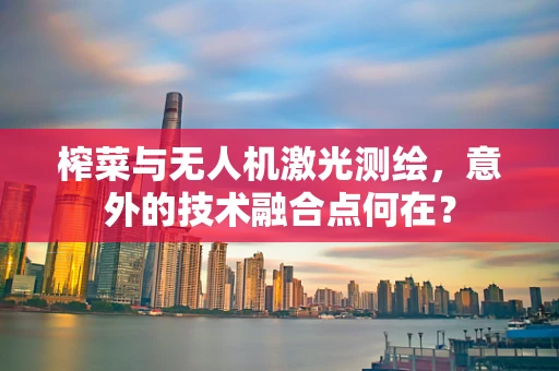 榨菜与无人机激光测绘，意外的技术融合点何在？